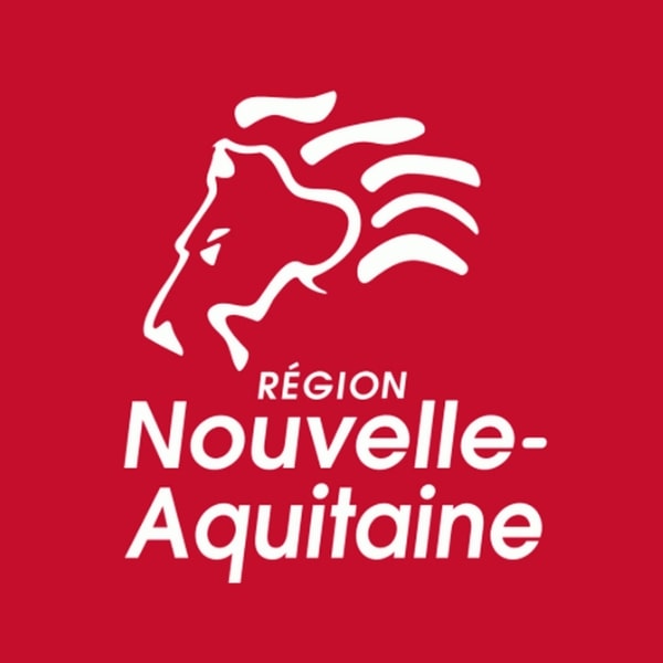 conseil_regional_17-25_ans